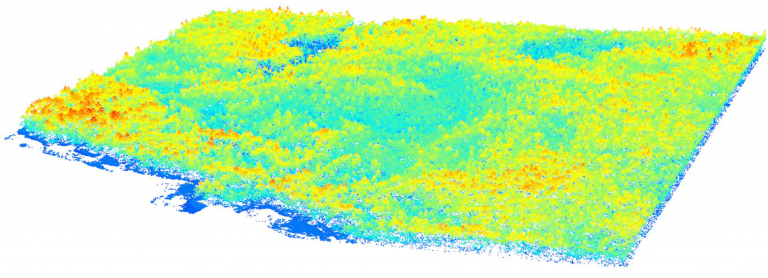 Image from Mapping Tree Dynamics in 3D